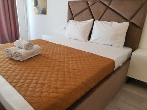 Gallery image of Grey Residence Apartments in Tunari