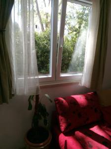 a room with a window and a couch and a plant at STUDIO APARTMAN Marita in Split