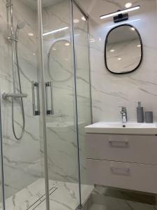 a bathroom with a shower and a sink and a mirror at Bright and lovely 1-bedroom apartment in Klaipeda in Klaipėda