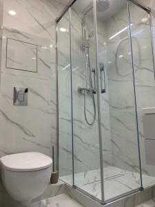a bathroom with a toilet and a glass shower at Bright and lovely 1-bedroom apartment in Klaipeda in Klaipėda