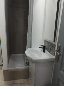 La salle de bains blanche est pourvue d'un lavabo et d'une douche. dans l'établissement Gambetta Insolite, à Chambéry
