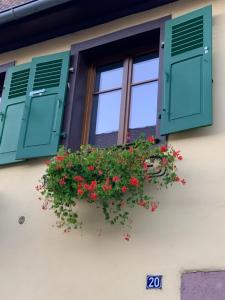 a window with green shutters and red flowers in a window box at Gîte du clocher dans ancienne maison du vignoble in Niedermorschwihr