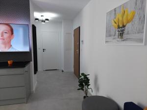 Televízia a/alebo spoločenská miestnosť v ubytovaní MAK Apartment Grobla - free parking - 3 rooms