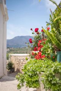 a garden with red flowers and a stone wall at Dioni Stone House in Petrokefalo