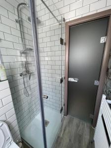 a shower with a glass door in a bathroom at Green Property in Dofteana