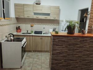 Kuchyň nebo kuchyňský kout v ubytování Pocanic's apartment