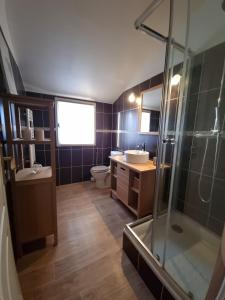 La salle de bains est pourvue d'une douche, d'un lavabo et de toilettes. dans l'établissement Maison individuelle avec sa piscine privée, à Clermont-Ferrand