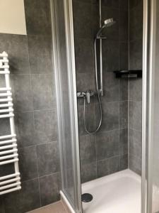 a shower with a glass door in a bathroom at Die Gräfin auf Rügen - Ferienappartements in Parchtitz