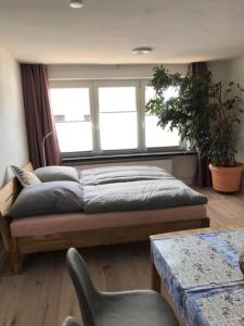En eller flere senge i et værelse på Die Gräfin auf Rügen - Ferienappartements