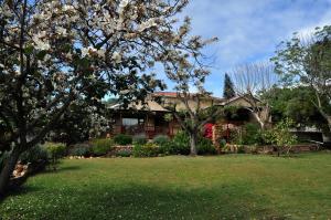 a house with a flowering tree in a yard at Dempsey's Self-Catering Guest House in Port Elizabeth