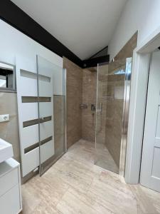 baño con ducha y puerta de cristal en Gemütliches Haus zwischen Förde und Golfplatz en Heikendorf