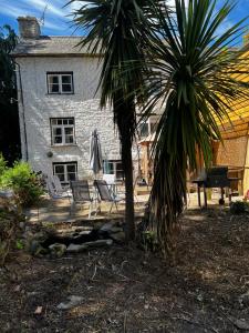 a house with chairs and a palm tree in front of it at The nook 21a mill street in Kington