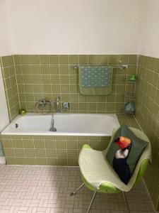 Bilik mandi di Ferienwohnung im Grünen
