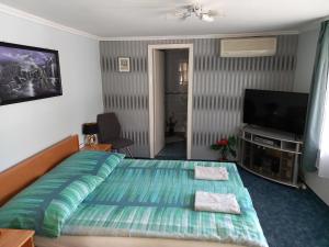 Posteľ alebo postele v izbe v ubytovaní Király Villa + 9 fotografií