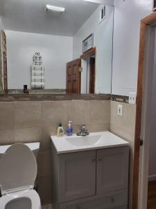 een badkamer met een wastafel, een toilet en een spiegel bij Reservoir Hill Mansion - 4 bedrooms in Baltimore