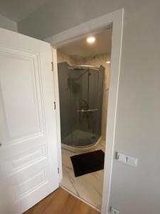 a bathroom with a shower with a glass door at Feelings Apartment apartamenti Smiltene in Smiltene +2 photos