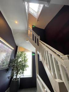 a staircase with a potted plant and a window at Les Embruns in Trouville-sur-Mer
