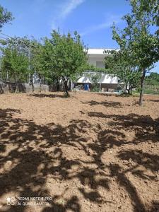 Φωτογραφία από το άλμπουμ του Vineyard of Valta στο Μαρμάρι