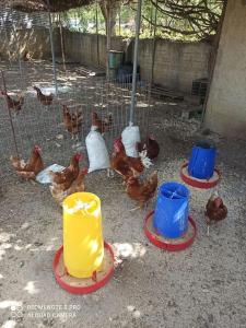 Φωτογραφία από το άλμπουμ του Vineyard of Valta στο Μαρμάρι