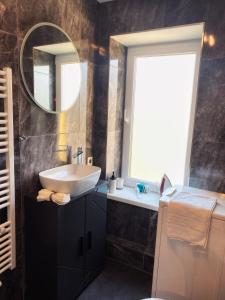 a bathroom with a sink and a mirror at Cozy Apartment Bernburg 3 in Roschwitz