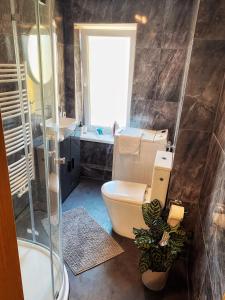 a bathroom with a toilet and a sink and a shower at Cozy Apartment Bernburg 3 in Roschwitz