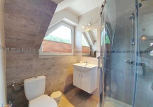a bathroom with a toilet and a shower and a sink at Pokoje Czajka in Ochotnica Górna
