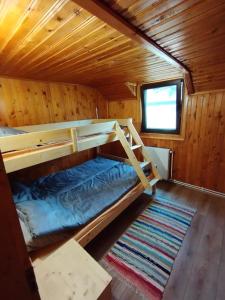 a room with two bunk beds in a cabin at Rotwild House in Bicfălău