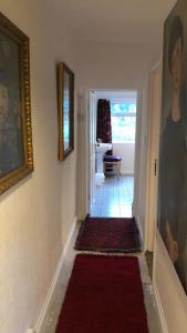 a hallway with a red carpet in a house at 1 Laurel Cottages in Dawlish