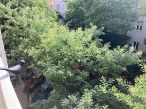 Vonkajšia záhrada v ubytovaní Roland Apartment Downtown - Pozsonyi