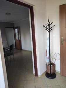 un corridoio con una pianta in un cesto accanto a una porta di Domek pod brzozami a Grzybowo