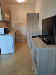 una cucina con bancone, TV e frigorifero di Domek pod brzozami a Grzybowo