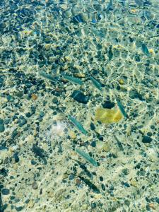 Fotografie z fotogalerie ubytování Romantica Suite Panoramica v destinaci Villasimius