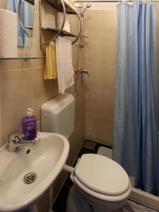 a bathroom with a toilet and a sink and a shower at Cinema House Single & Double Rooms & Studio Apartments in Pula +105 photos