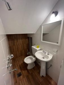 een badkamer met een wit toilet en een wastafel bij Casa Frente Parque Guillermina in San Miguel de Tucumán