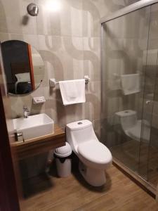 a bathroom with a toilet and a sink and a shower at Hotel Santino in Toluca