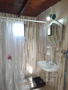 a bathroom with a sink and a shower curtain at Mi casa in Salta