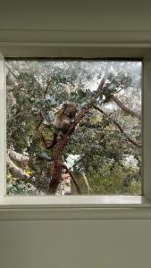 Gallery image of Hideaway At Wye in Wye River