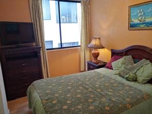 1 dormitorio con 1 cama, TV y ventana en Hermoso Apartamento al Norte cerca de la Embajada Americana, en Quito