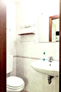a bathroom with a sink and a toilet and a mirror at Tavernetta con camino in collina in Pianoro