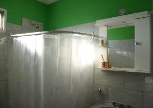 a bathroom with a shower with a sink and a green wall at Luisito in Santa Rosa