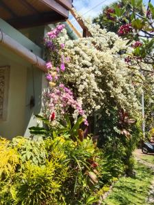 Garður fyrir utan Villa Cantik Sambirenteng