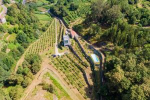 een luchtbeeld van een trein die door een wijngaard reist bij Melgaço Alvarinho Houses in Melgaço
