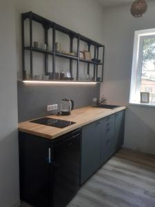 Kuchyňa alebo kuchynka v ubytovaní Apartmány Oxota