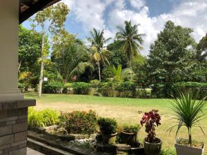 ogród z palmami i roślinami na dziedzińcu w obiekcie One-Room Homestay 81B Muar w mieście Muar