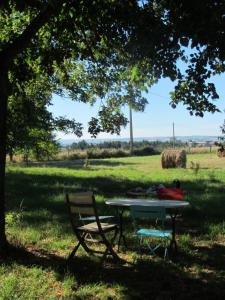 a table and a chair under a tree in a field at Chambres d'hôtes Les Pieds dans l'herbe in Saint-Julien-Gaulène