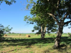 Zdjęcie z galerii obiektu Chambres d'hôtes Les Pieds dans l'herbe w mieście Saint-Julien-Gaulène