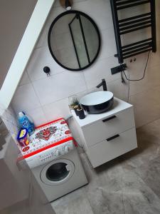 a small bathroom with a washing machine and a mirror at Apartament u Jarząbków in Ciche