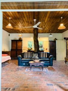 a living room with a blue couch and a tree at Whispering House in Tangalle