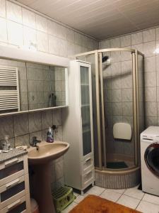 a bathroom with a shower and a sink and a washing machine at Veronikas Wohnung mit Garten in Wegscheid