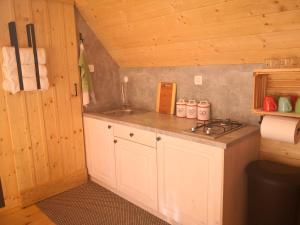 eine Küche mit einem Herd und einem Waschbecken in einer Hütte in der Unterkunft Mountain lodge Forte Emilia in Kobarid